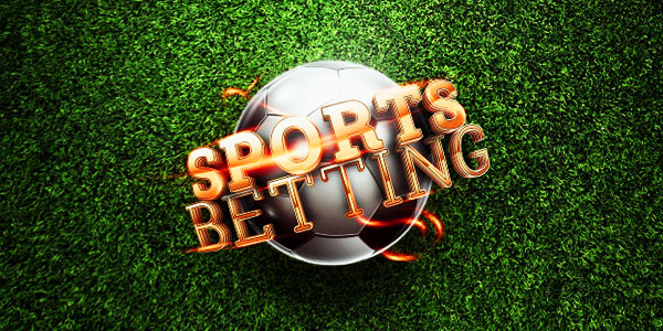 Новые букмекеры